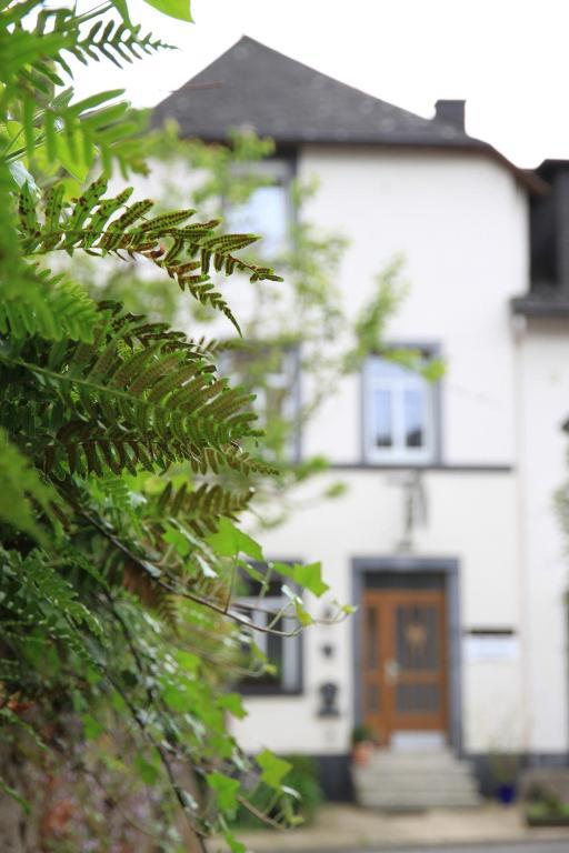Ferienweingut SerwaziWein Mesenich Exterior foto